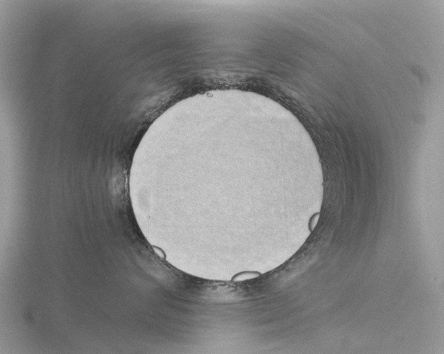 X0000115620624200912081024