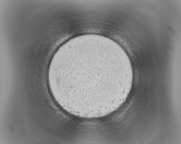 X0000115620625200912081024