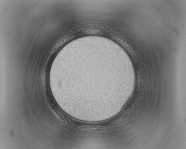 X0000115620626200912081024