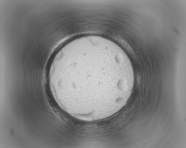 X0000115620628200912081024