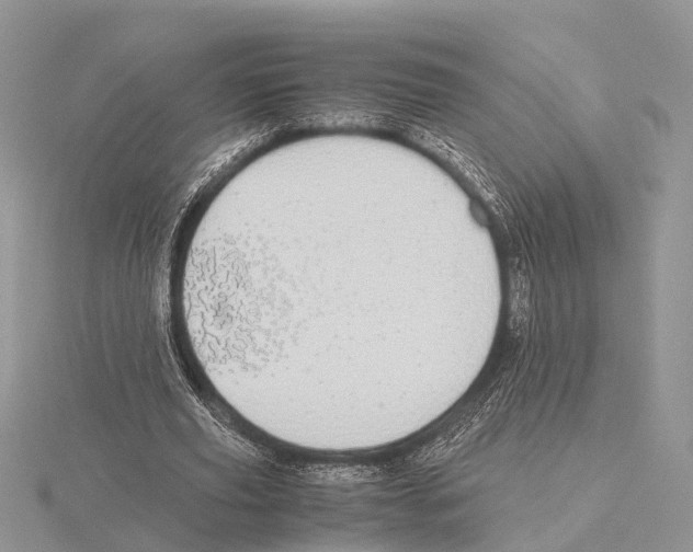 X0000115620629200912081024