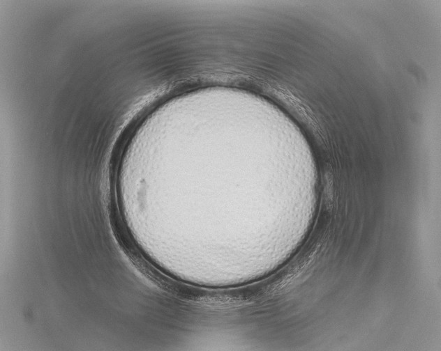 X0000115620630200912081024