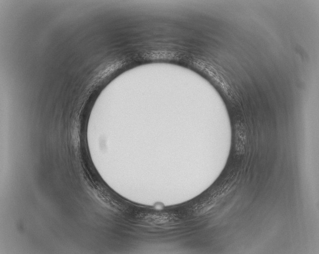 X0000115620631200912081024