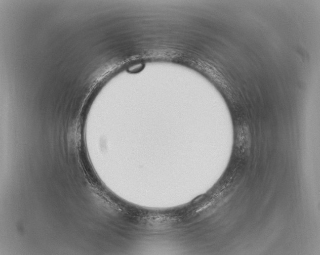 X0000115620632200912081024