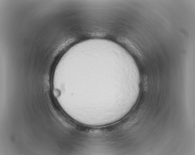 X0000115620634200912081024