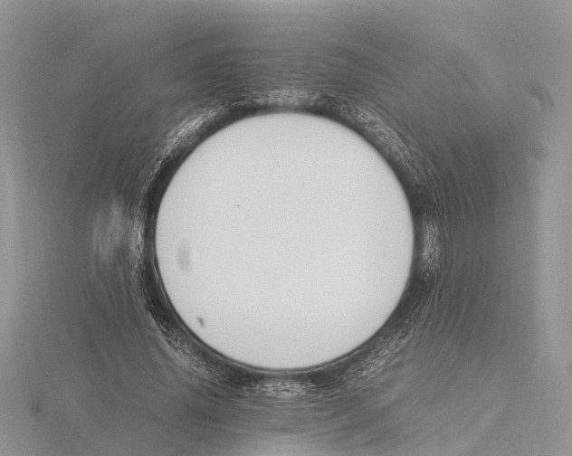 X0000115620636200912081024