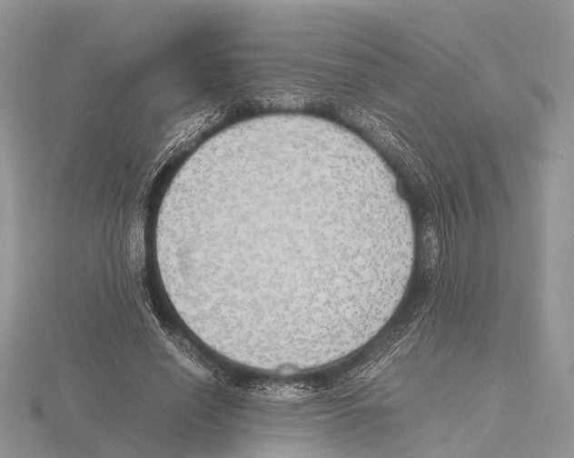 X0000115620638200912081024