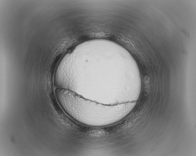 X0000115620642200912081024