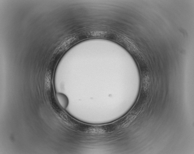 X0000115620644200912081024