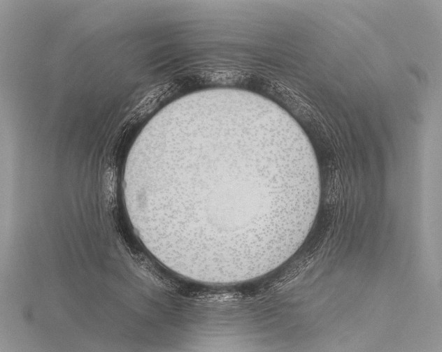 X0000115620646200912081024