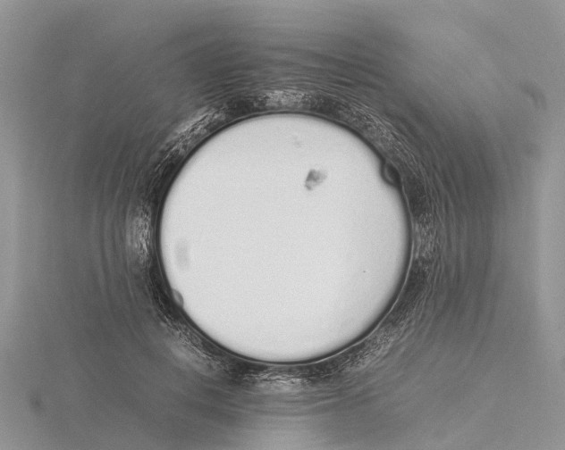 X0000115620648200912081024