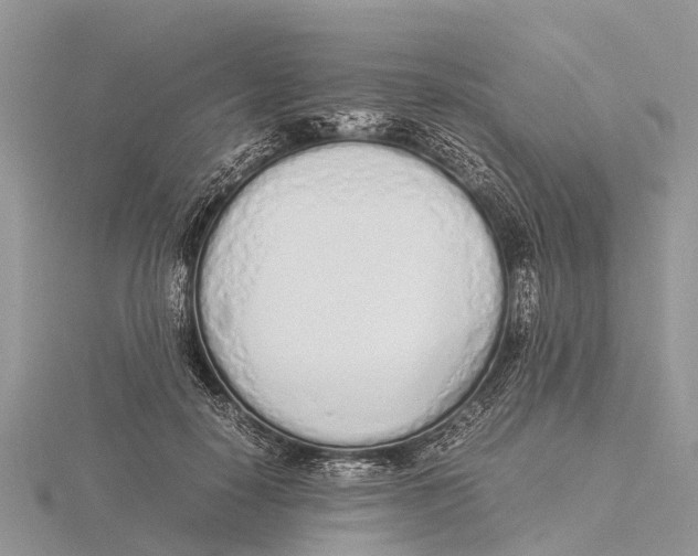 X0000115620650200912081024