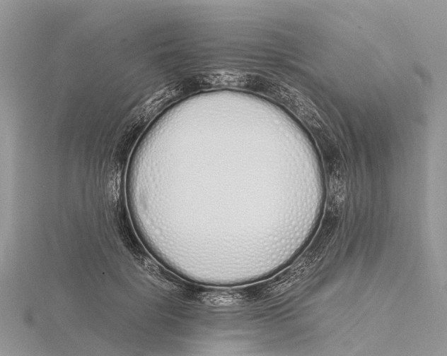 X0000115620652200912081024