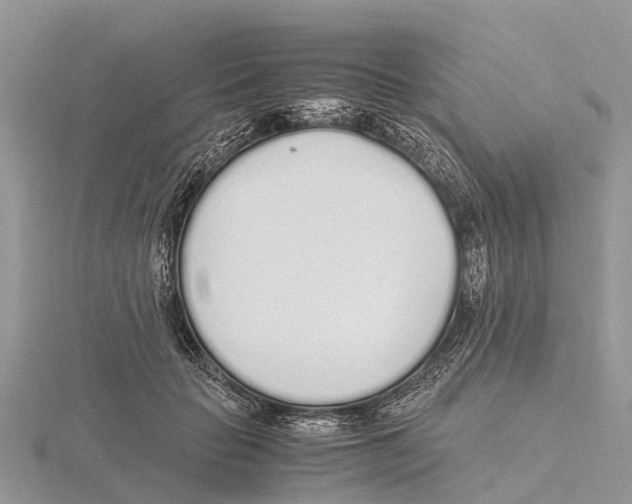 X0000115620653200912081024