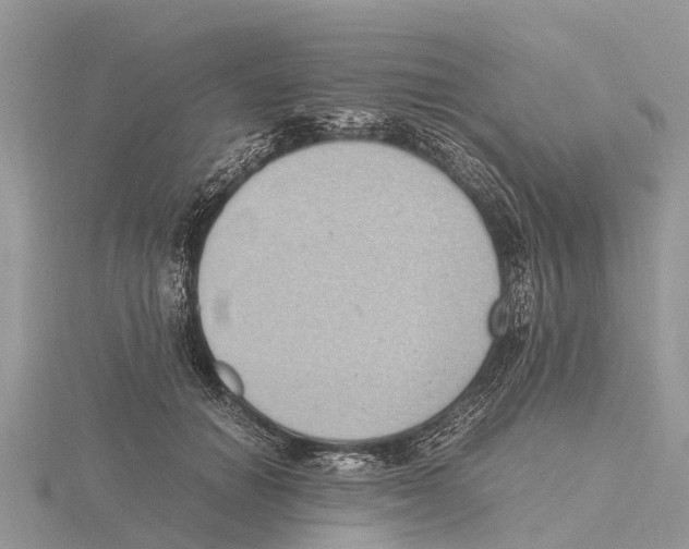 X0000115620654200912081024