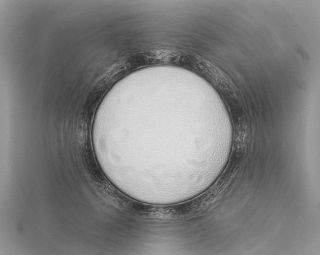 X0000115620656200912081024