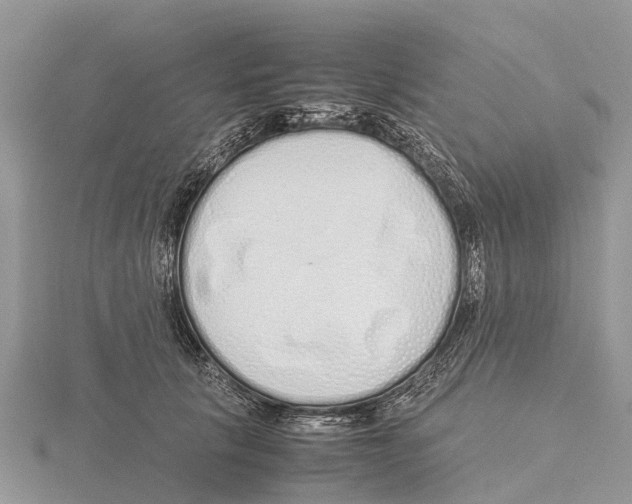 X0000115620657200912081024