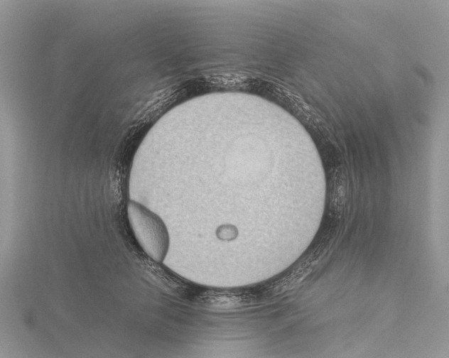 X0000115620658200912081024