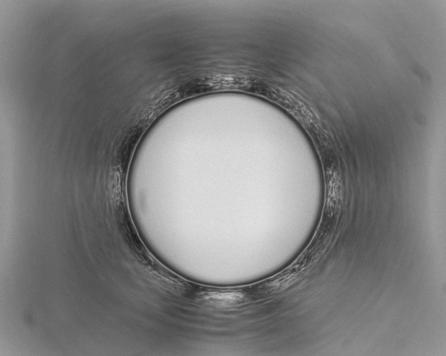 X0000115620659200912081024