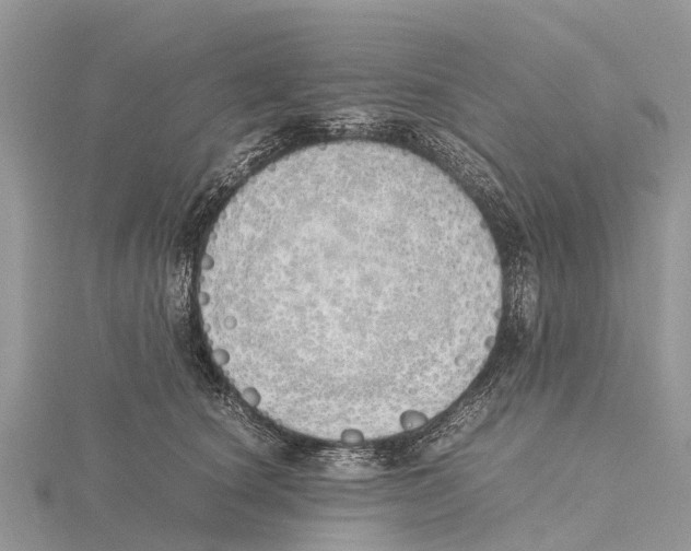 X0000115620660200912081024