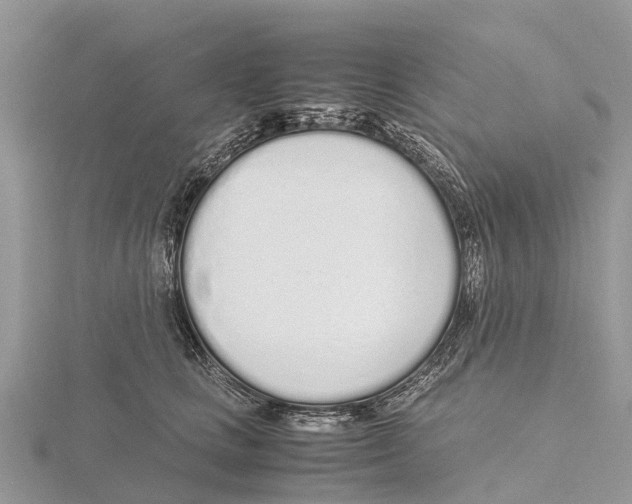 X0000115620661200912081024