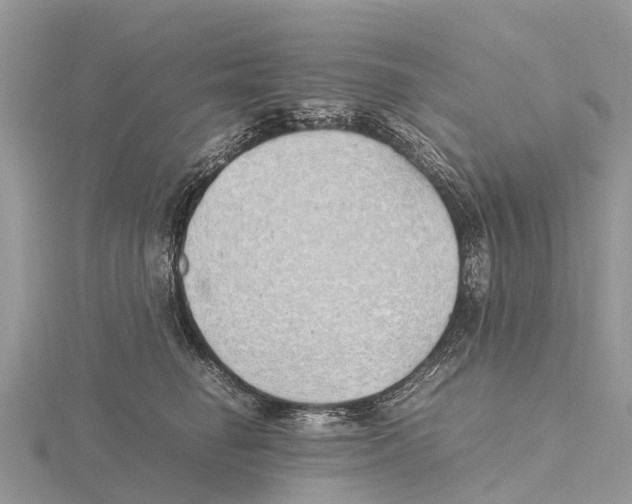 X0000115620662200912081024