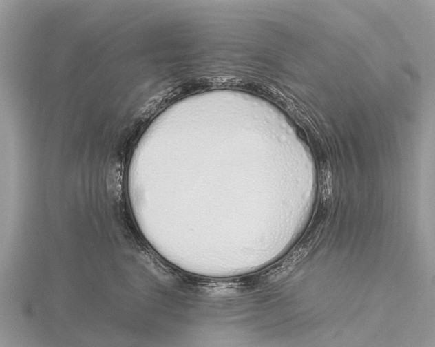 X0000115620664200912081024