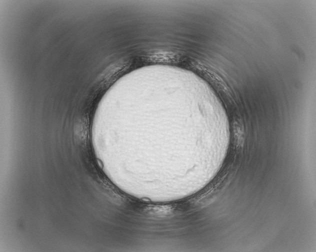 X0000115620665200912081024