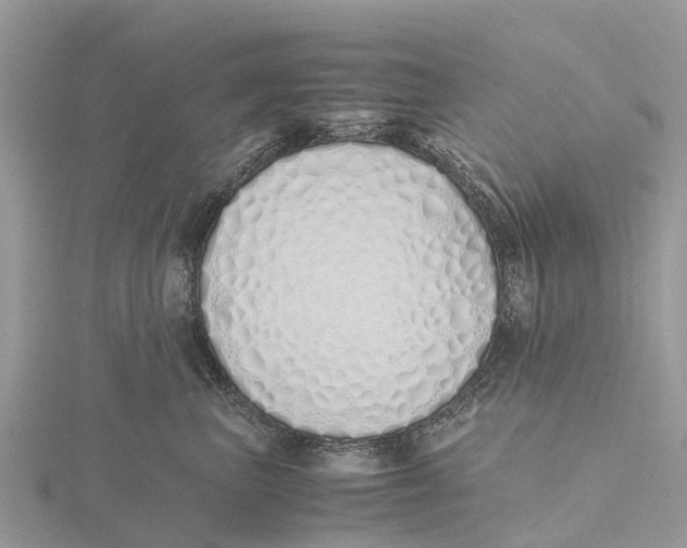 X0000115620667200912081024