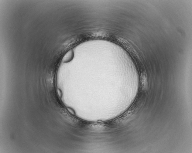 X0000115620668200912081024