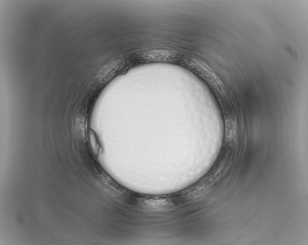 X0000115620669200912081024