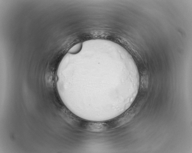 X0000115620671200912081024