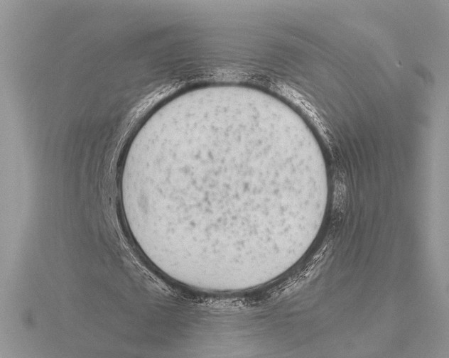 X0000115620673200912081024