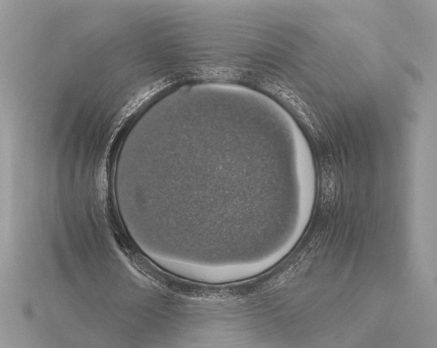 X0000115620674200912081024