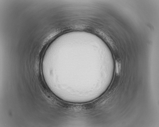 X0000115620675200912081024