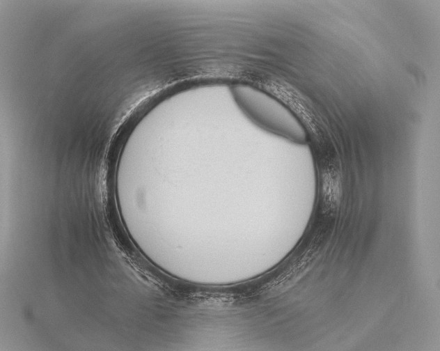 X0000115620676200912081024