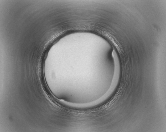 X0000115620677200912081024