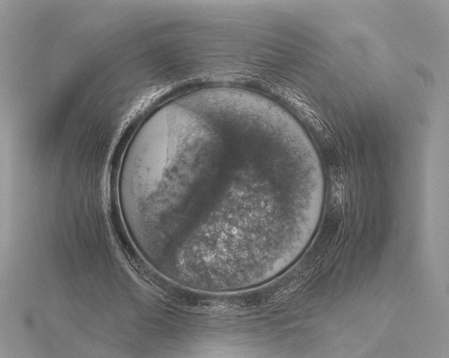 X0000115620678200912081024