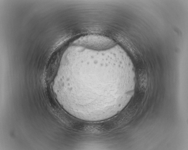 X0000115620680200912081024