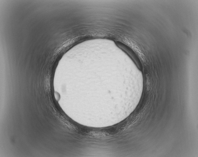 X0000115620681200912081024