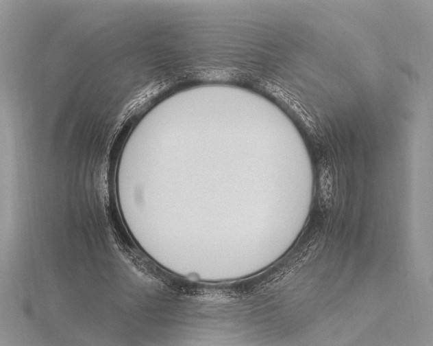 X0000115620682200912081024