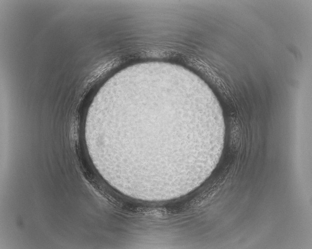 X0000115620683200912081024