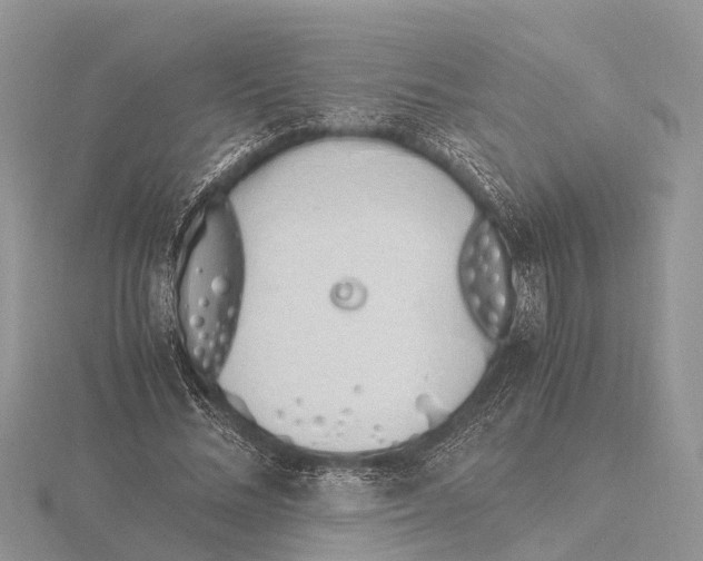 X0000115620684200912081024