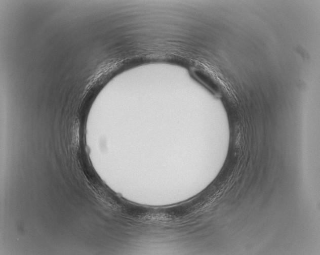 X0000115620685200912081024