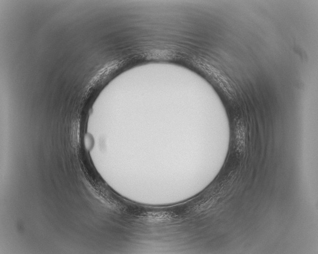 X0000115620686200912081024