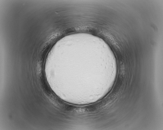 X0000115620687200912081024