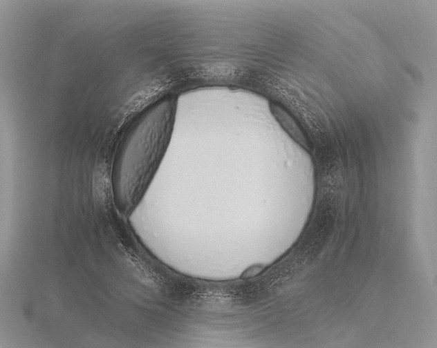 X0000115620688200912081024