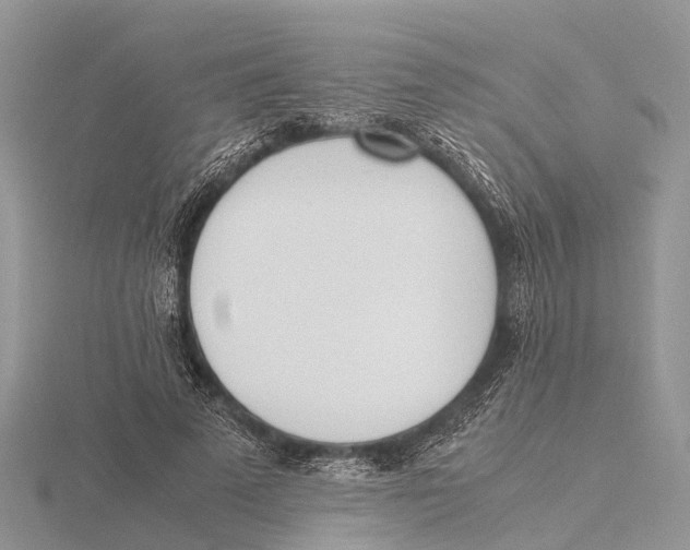 X0000115620689200912081024