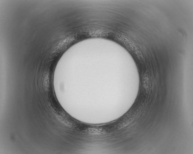 X0000115620690200912081023