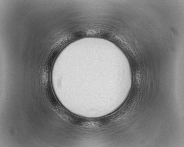 X0000115620691200912081023